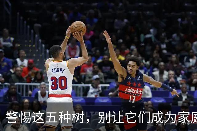 警惕这五种树，别让它们成为家庭的“麻烦制造者